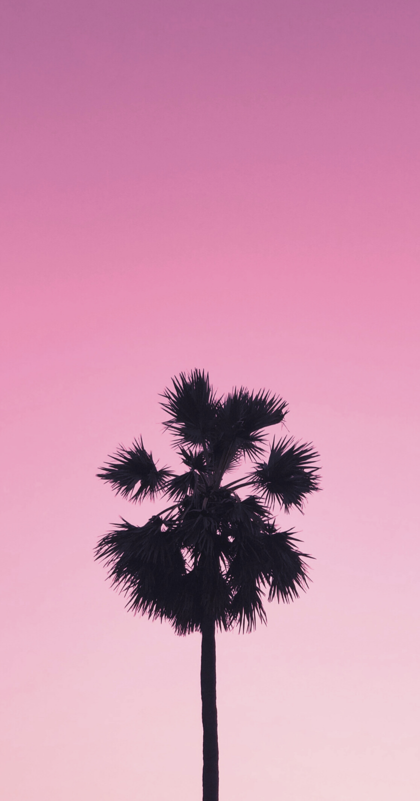 Pink Vibes Wallpapers