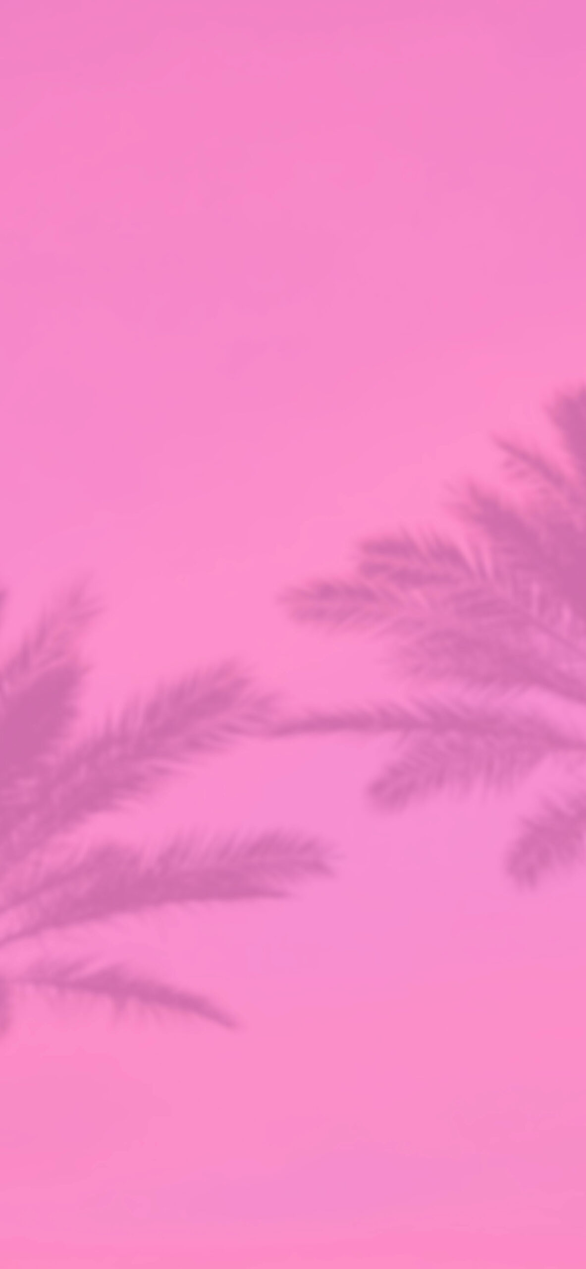 Pink Vibes Wallpapers