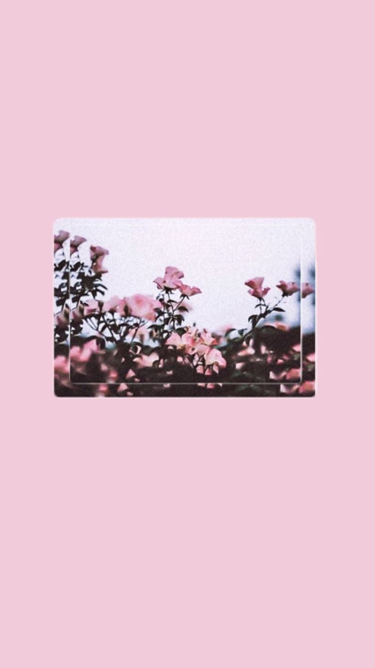 Pink Vintage Aesthetic Wallpapers