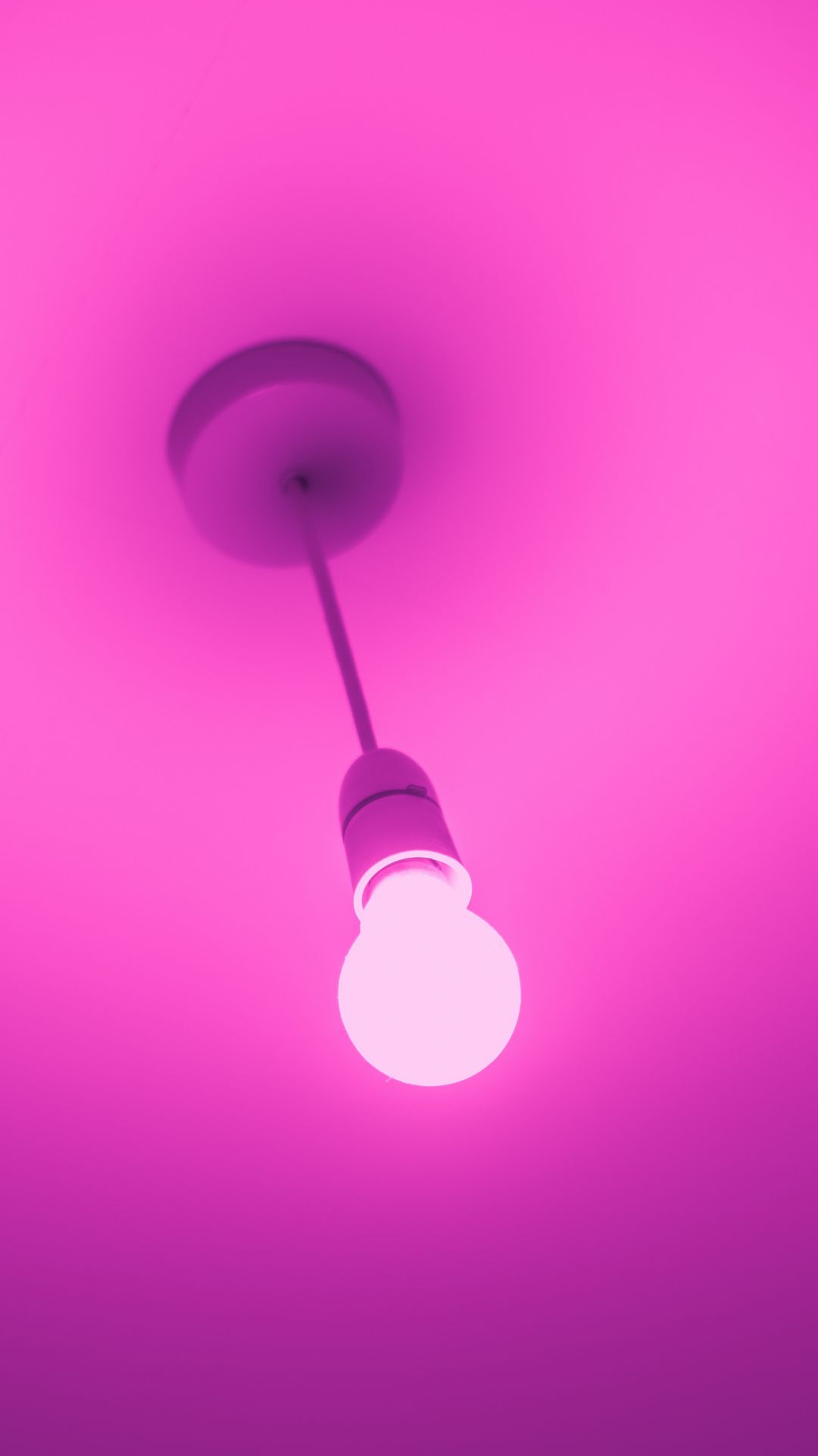 Pink Wallpapers