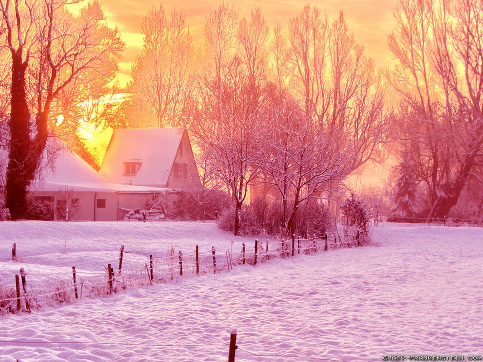 Pink Winter Wallpapers