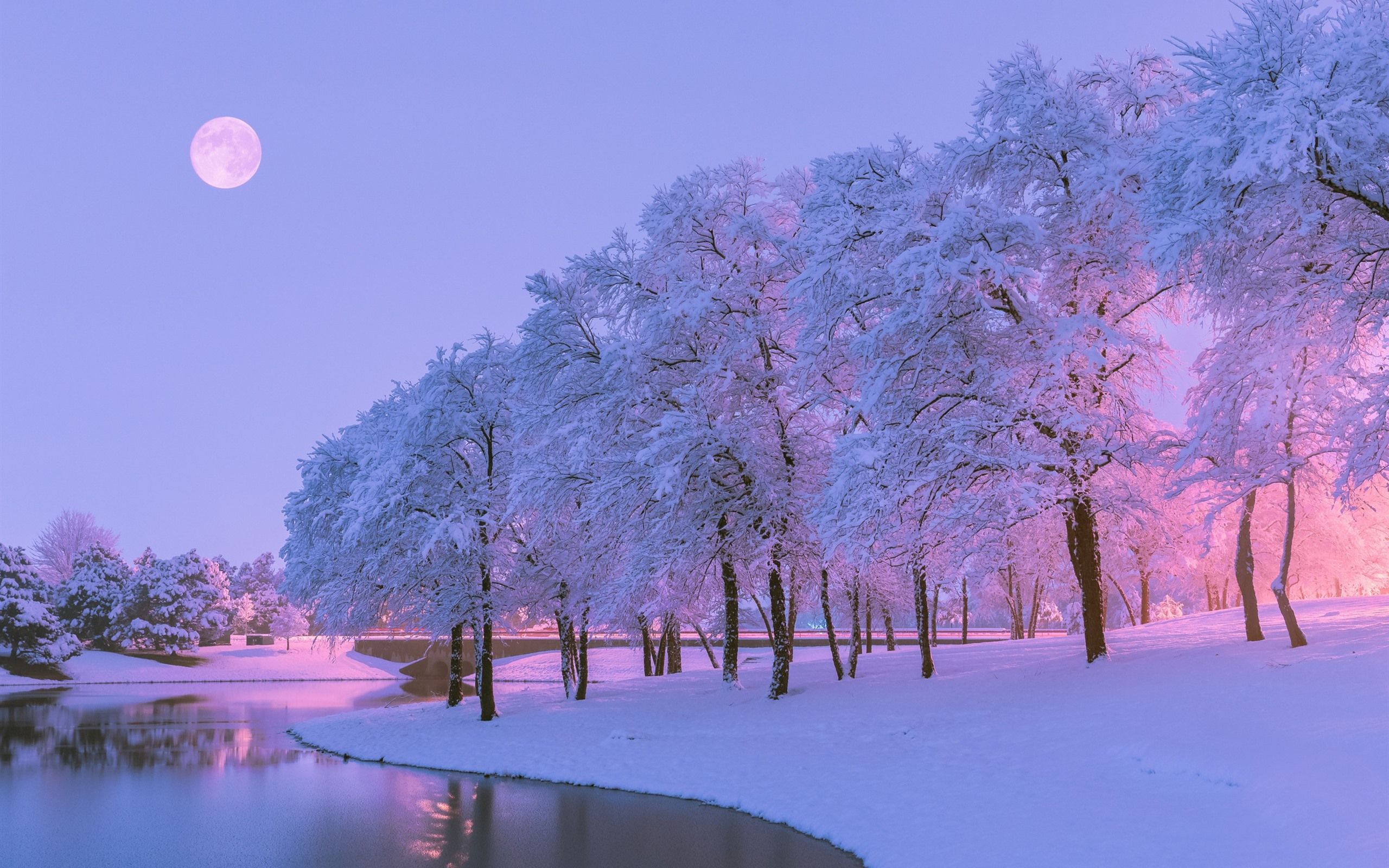 Pink Winter Wallpapers