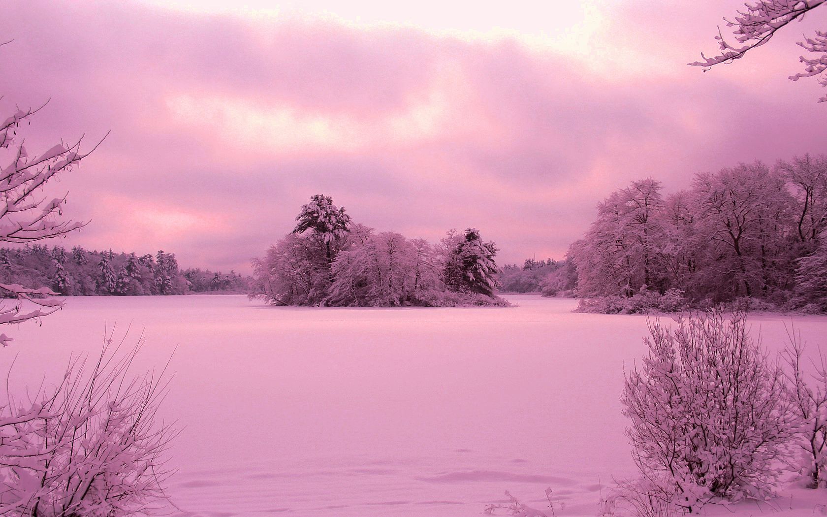 Pink Winter Wallpapers