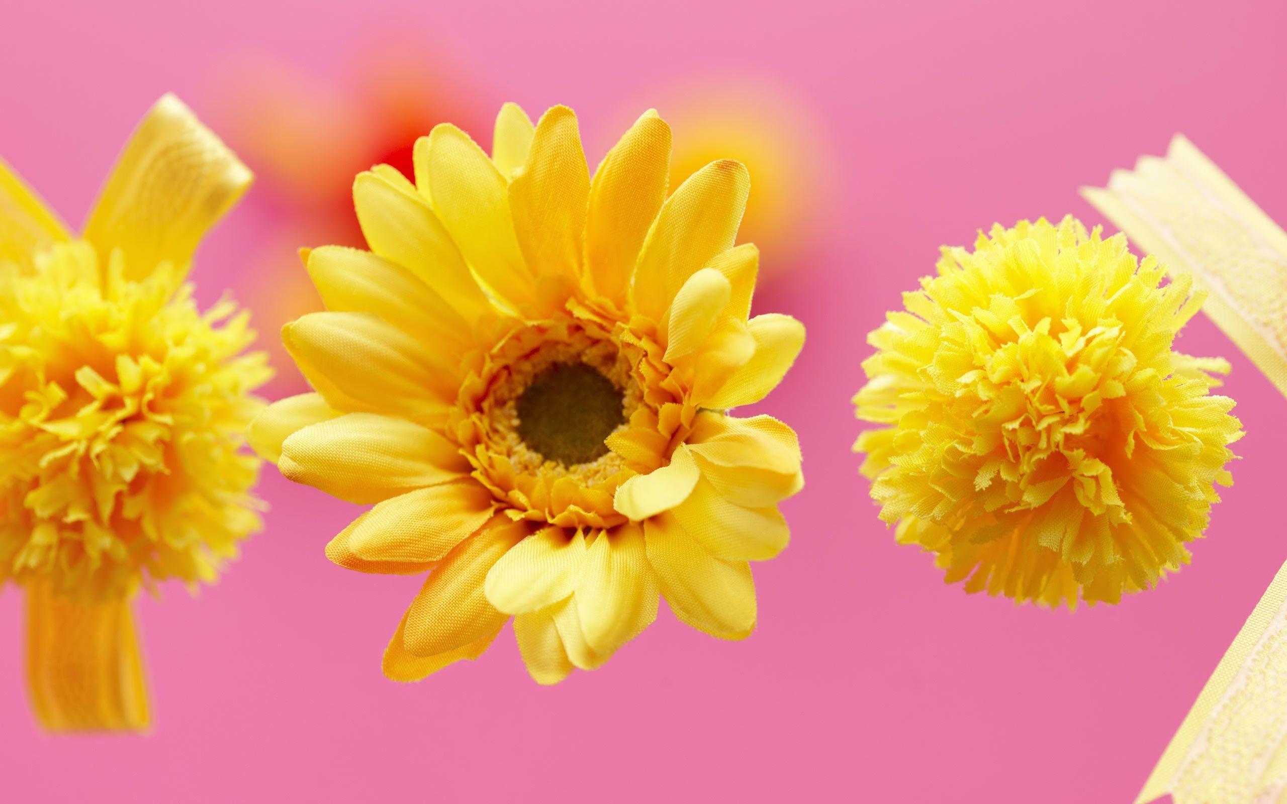 Pink Yellow Flower Wallpapers