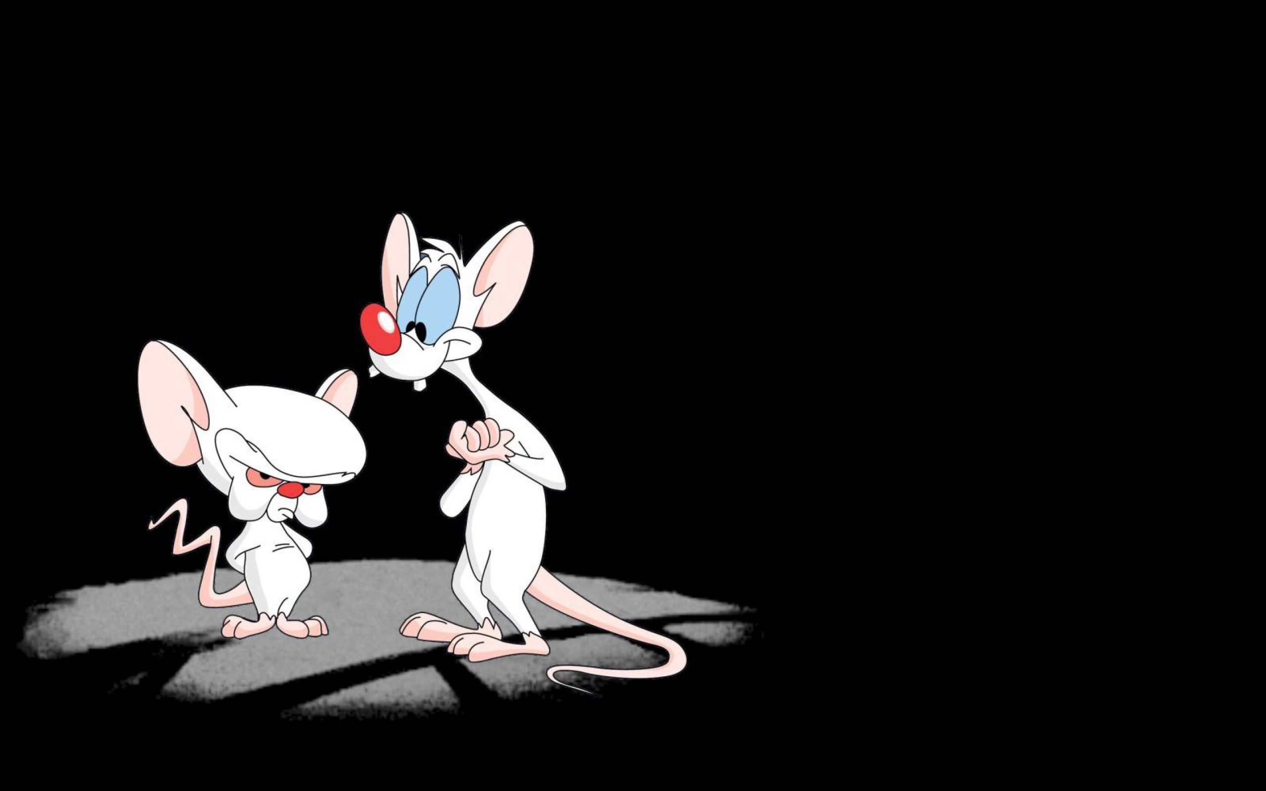 Pinky And The Brain Background