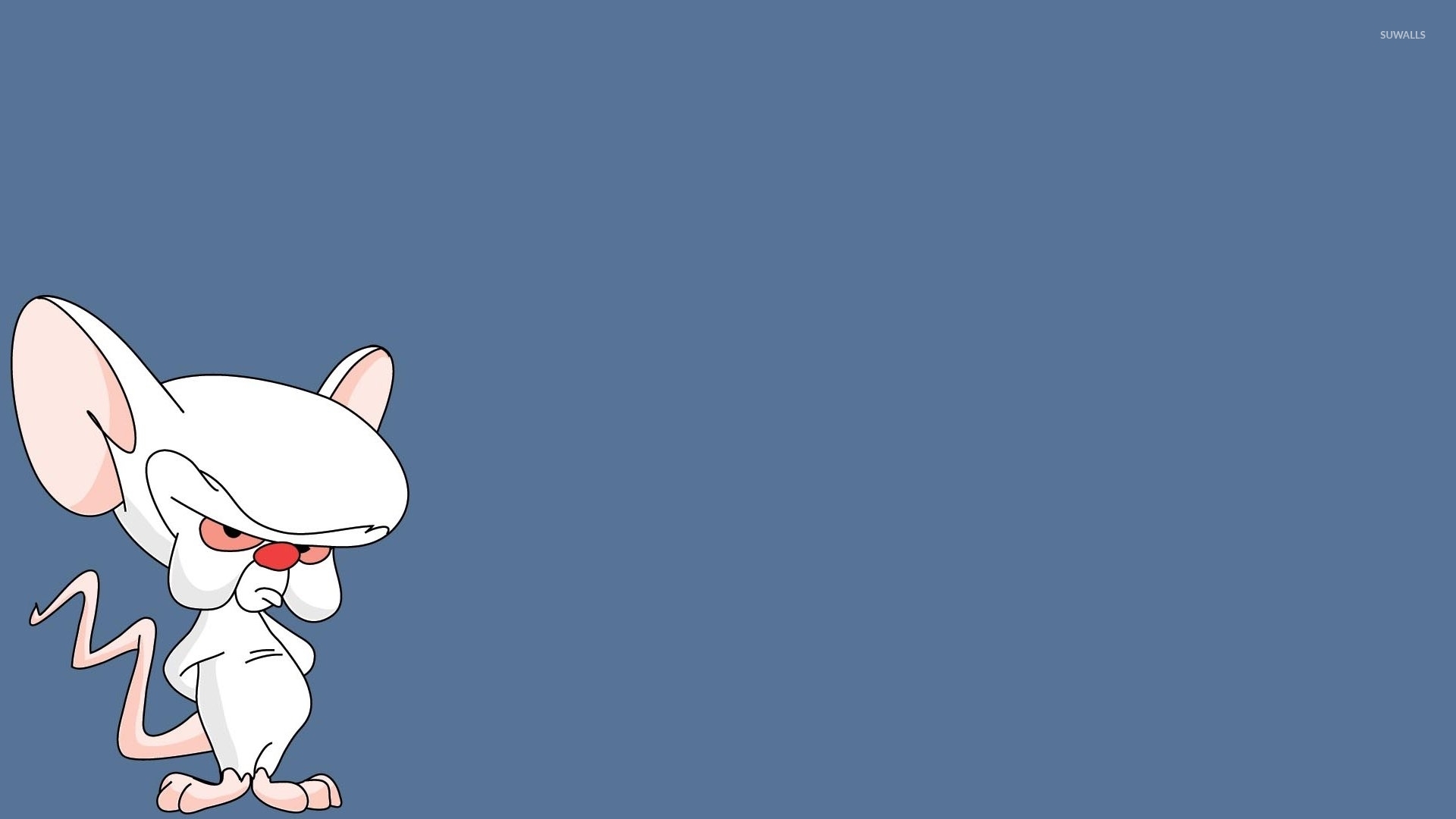 Pinky And The Brain Background