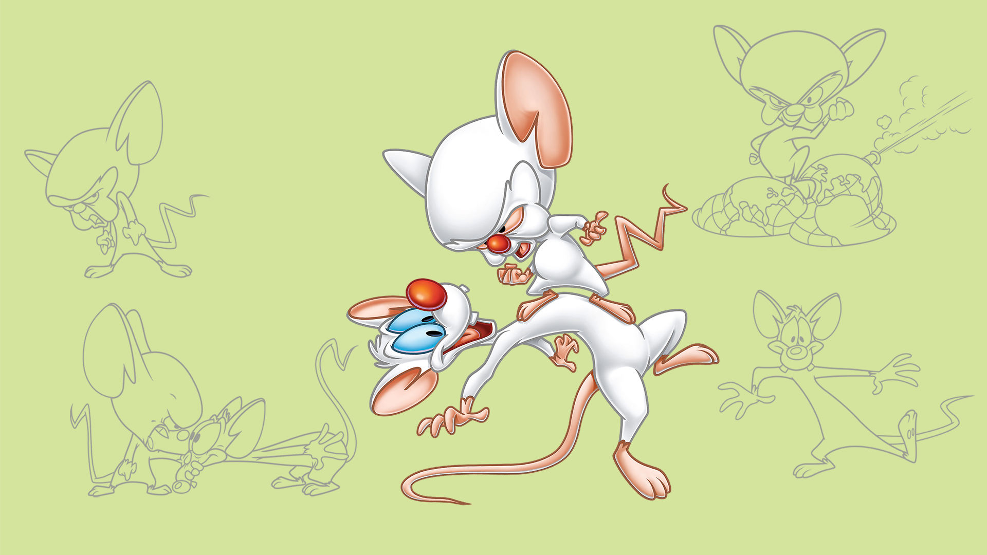 Pinky And The Brain Background