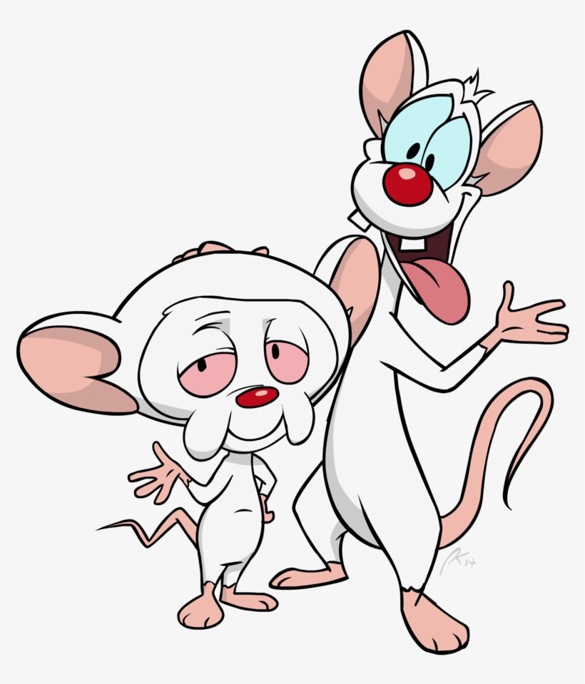 Pinky And The Brain Background