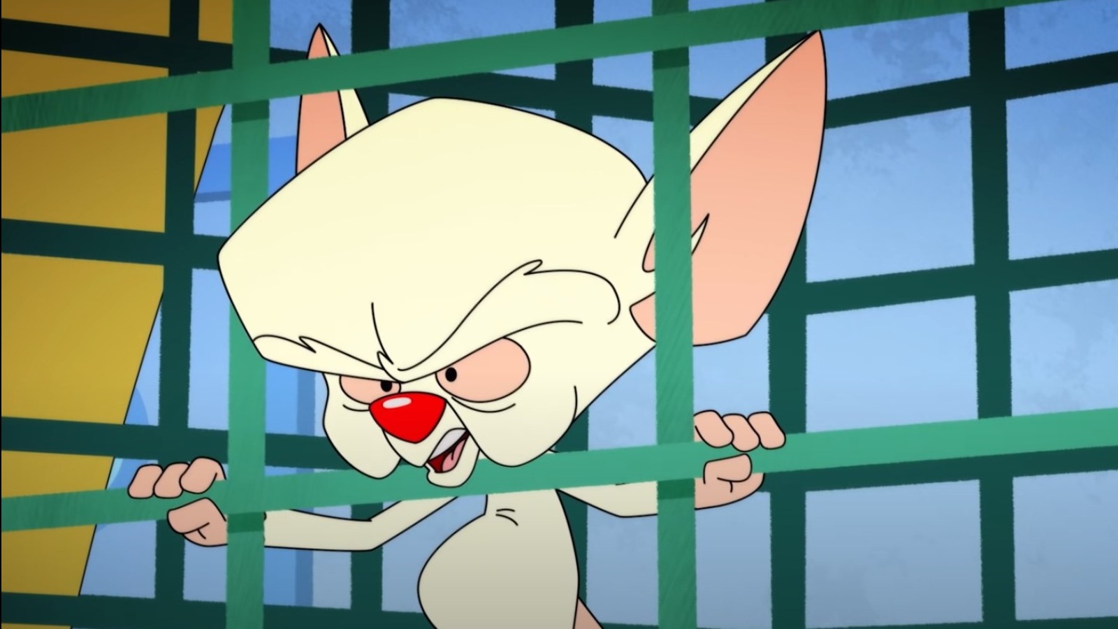 Pinky And The Brain Background