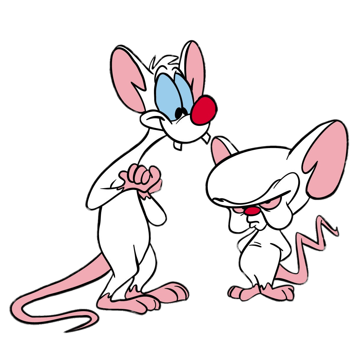 Pinky And The Brain Background