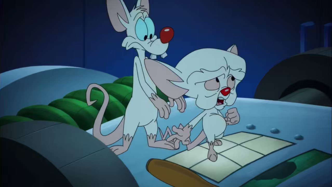 Pinky And The Brain Background