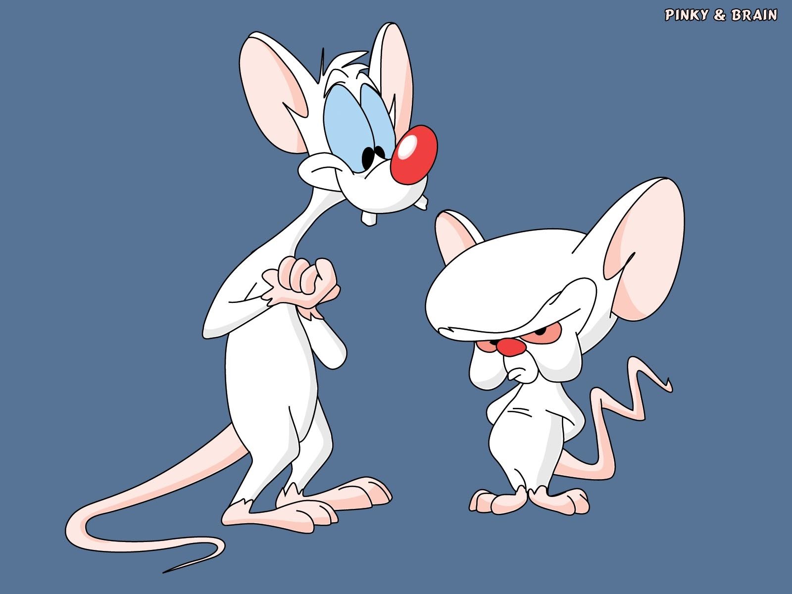 Pinky And The Brain Wallpapers