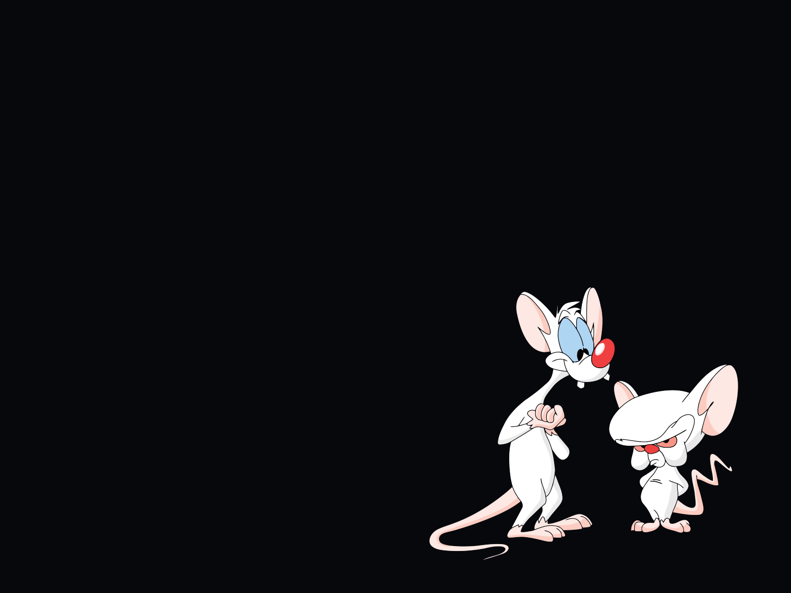 Pinky And The Brain Wallpapers