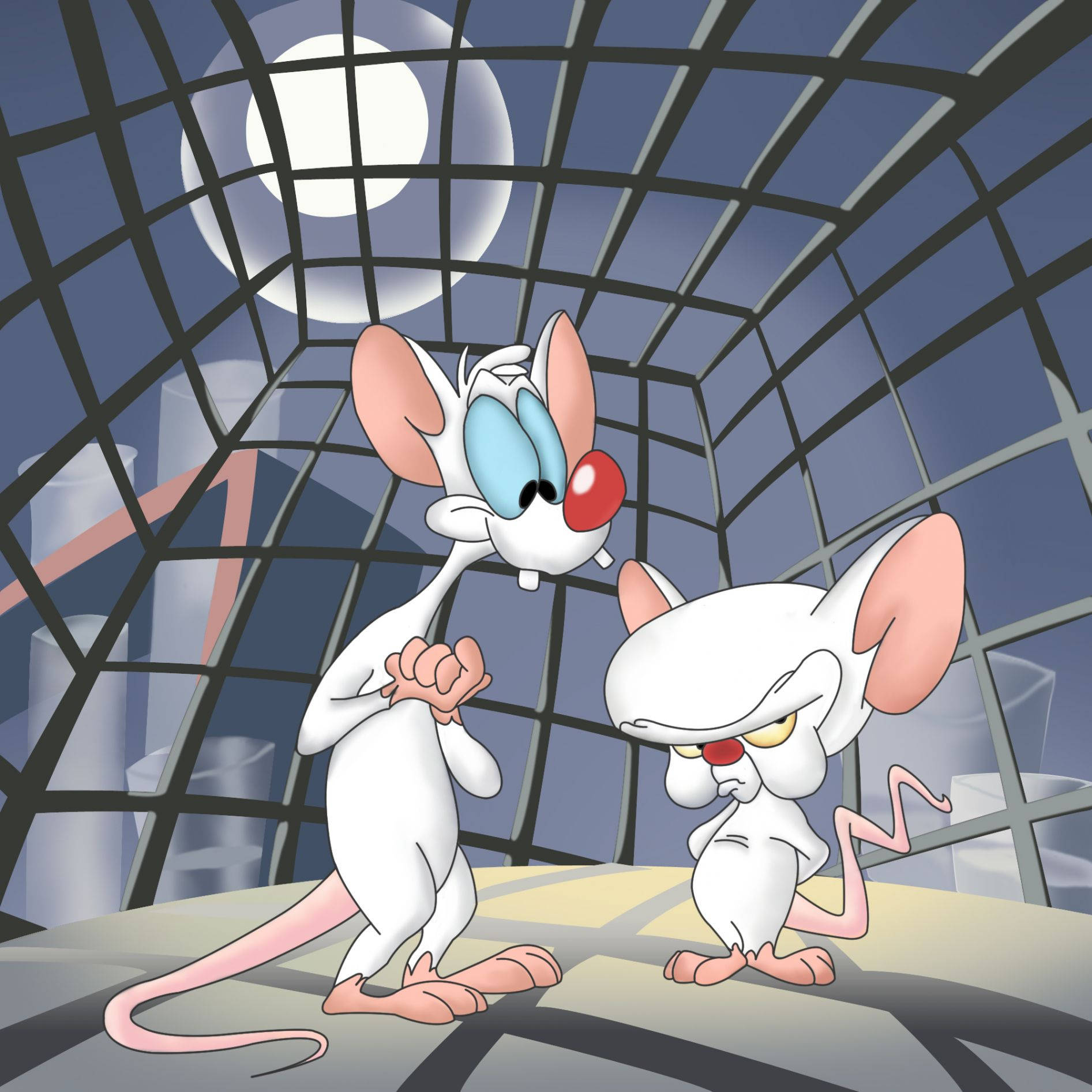 Pinky And The Brain Wallpapers