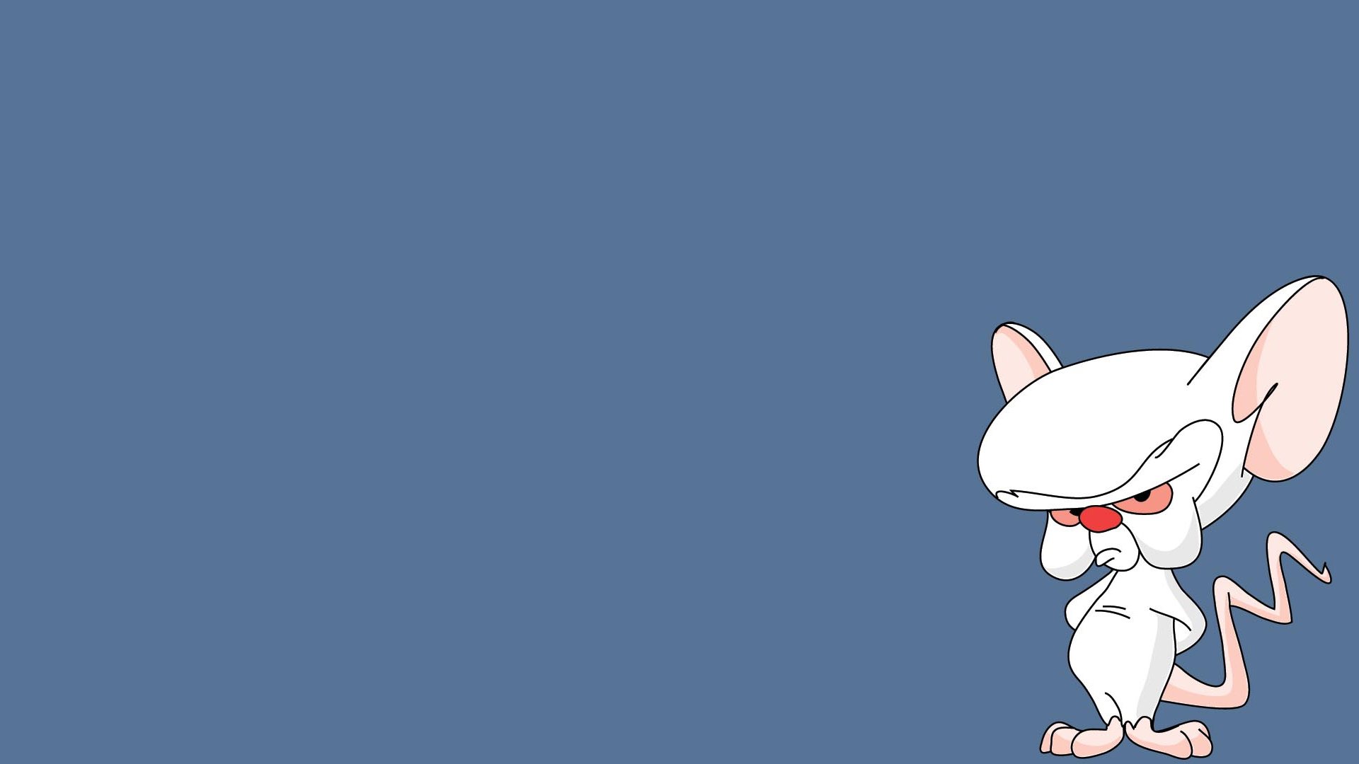 Pinky And The Brain Wallpapers