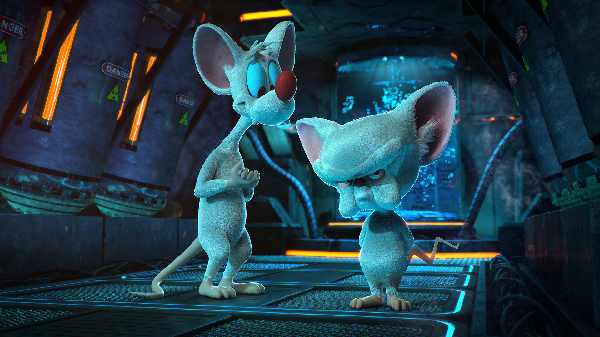 Pinky And The Brain Wallpapers