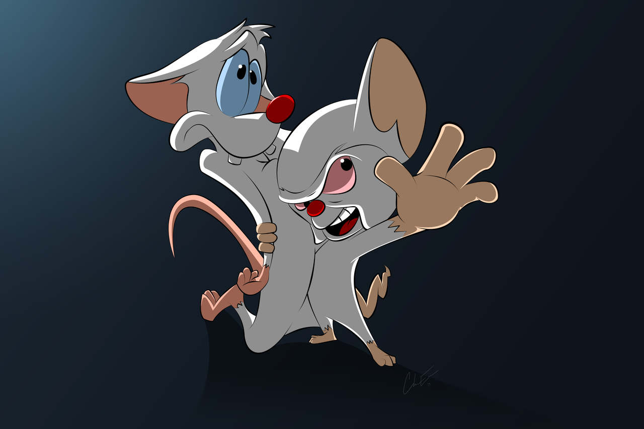 Pinky And The Brain Wallpapers