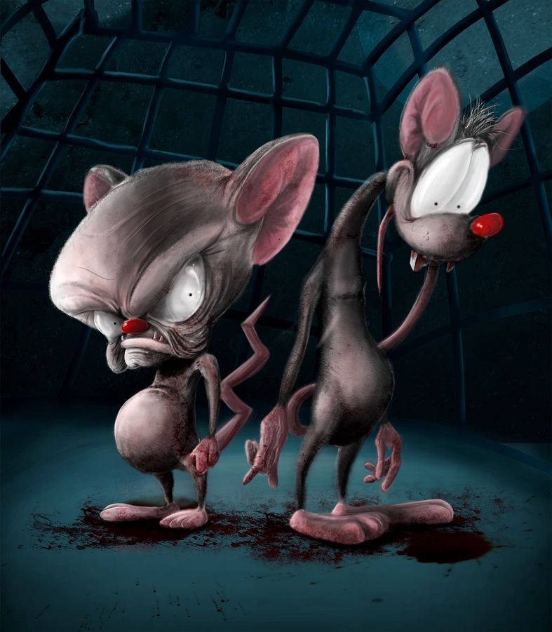 Pinky And The Brain Wallpapers