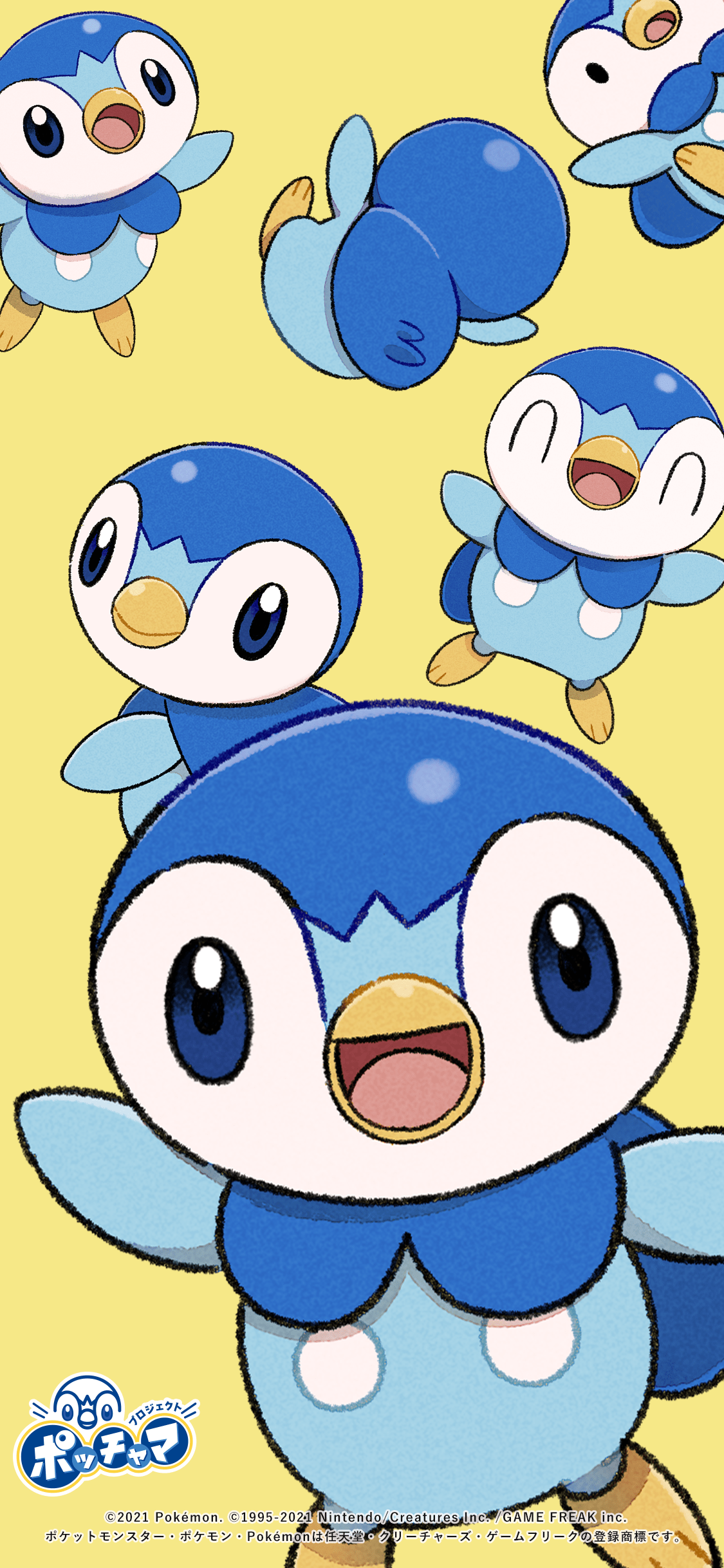 Piplup Hd Wallpapers