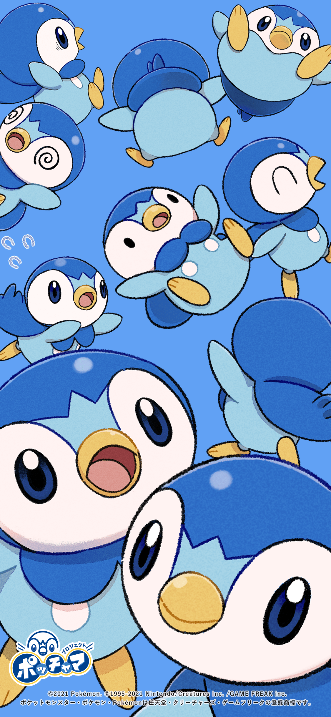 Piplup Wallpapers