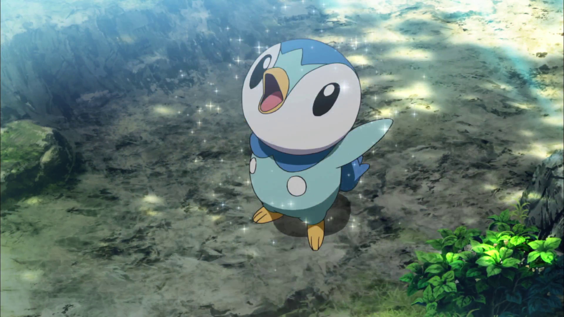 Piplup Wallpapers