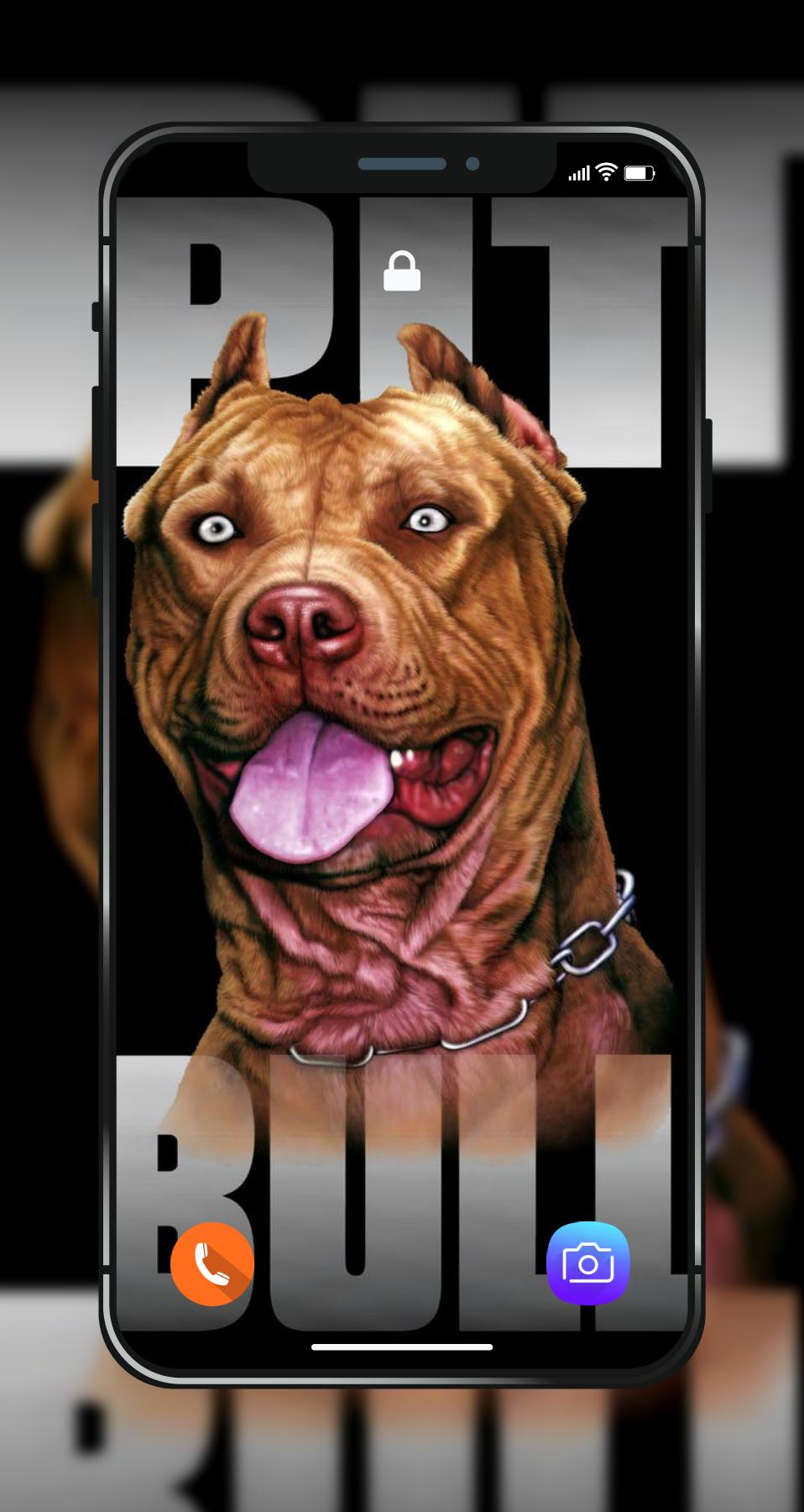 Pit Bull Wallpapers