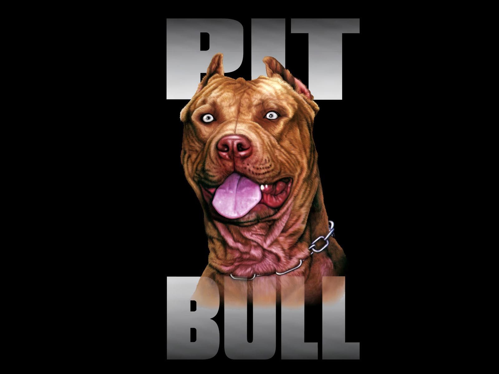 Pit Bulls Wallpapers