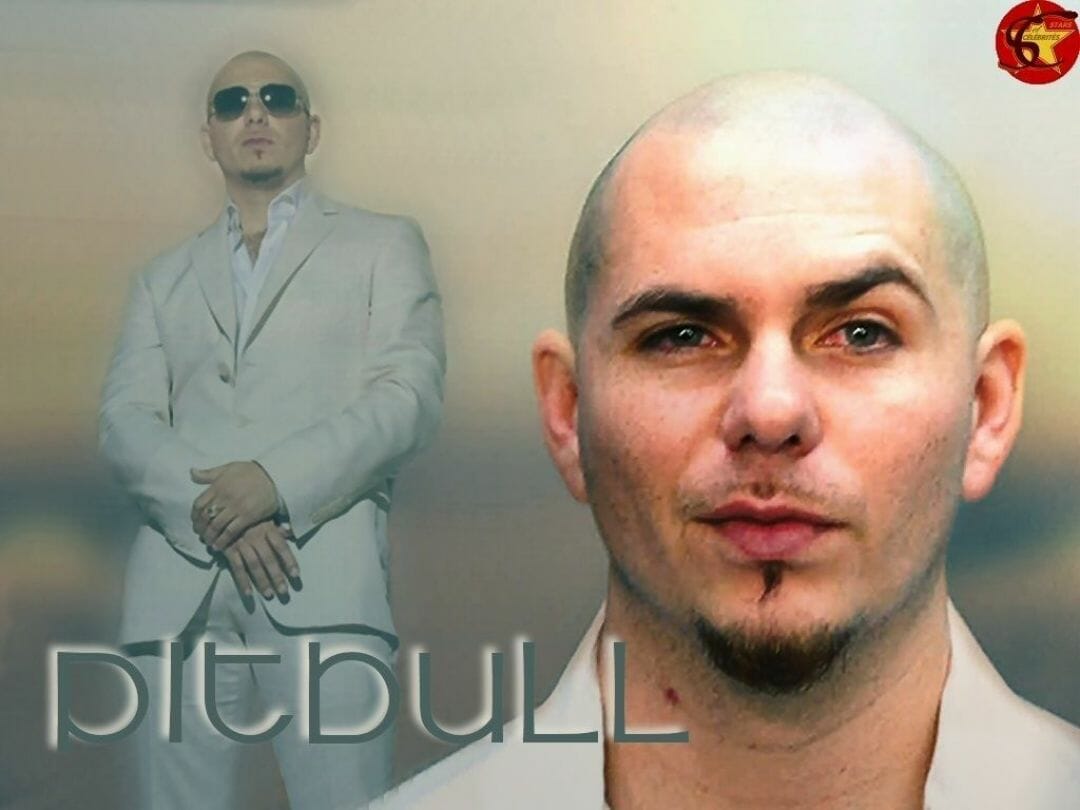 Pitbull Singer Wallpapers