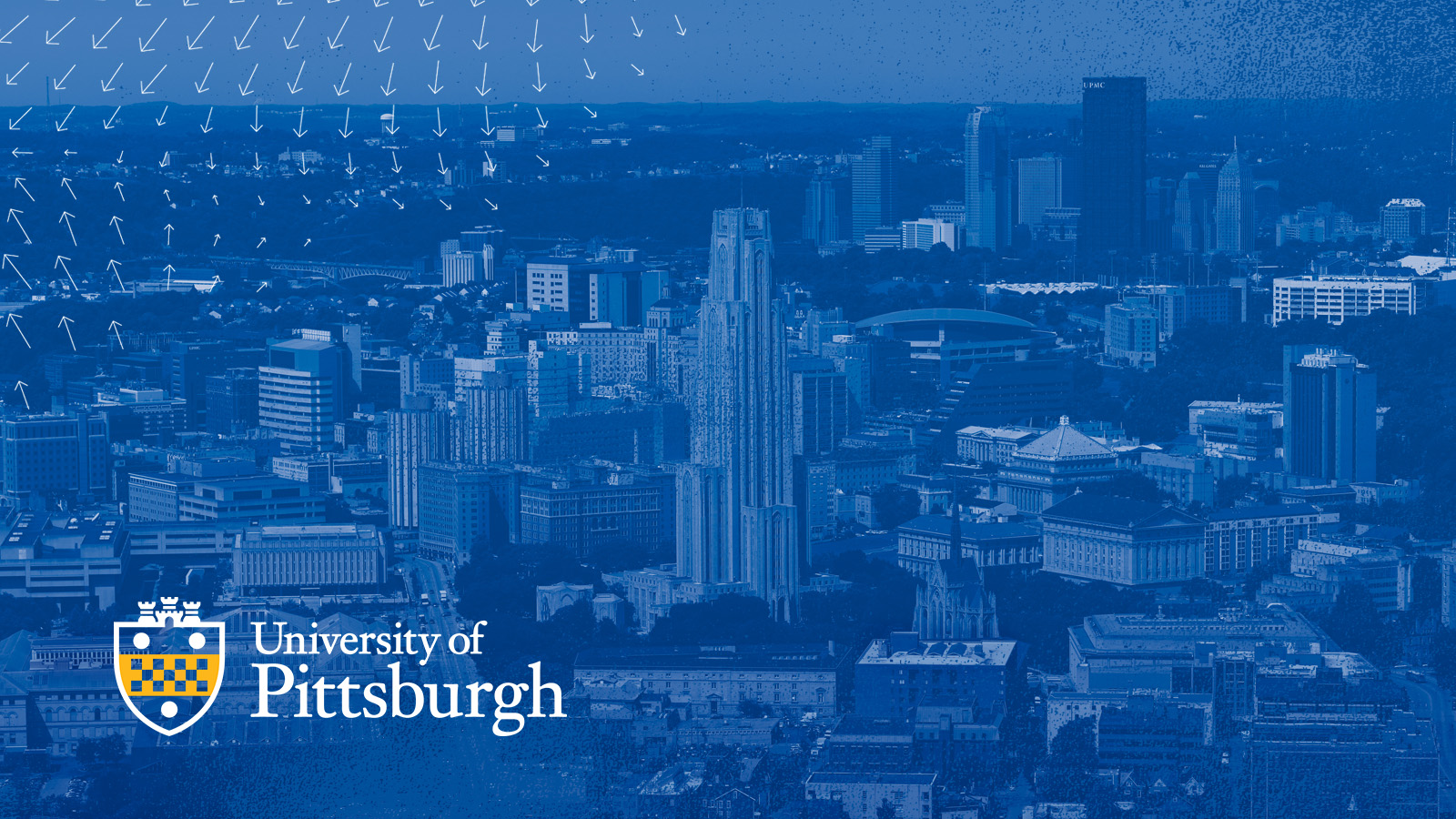 Pitt Wallpapers