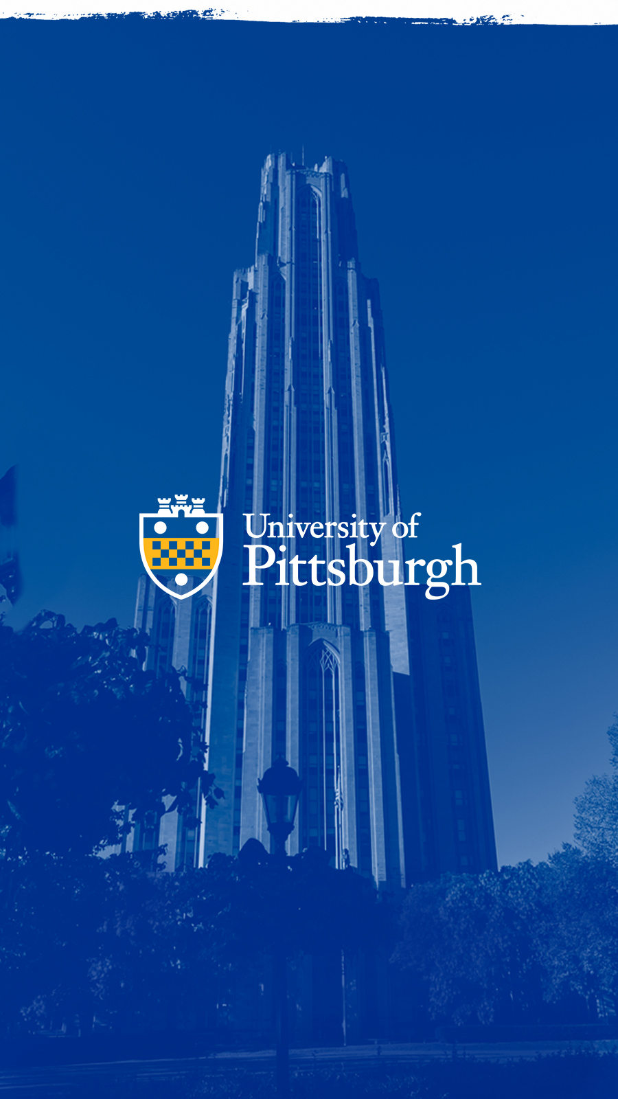 Pitt Wallpapers