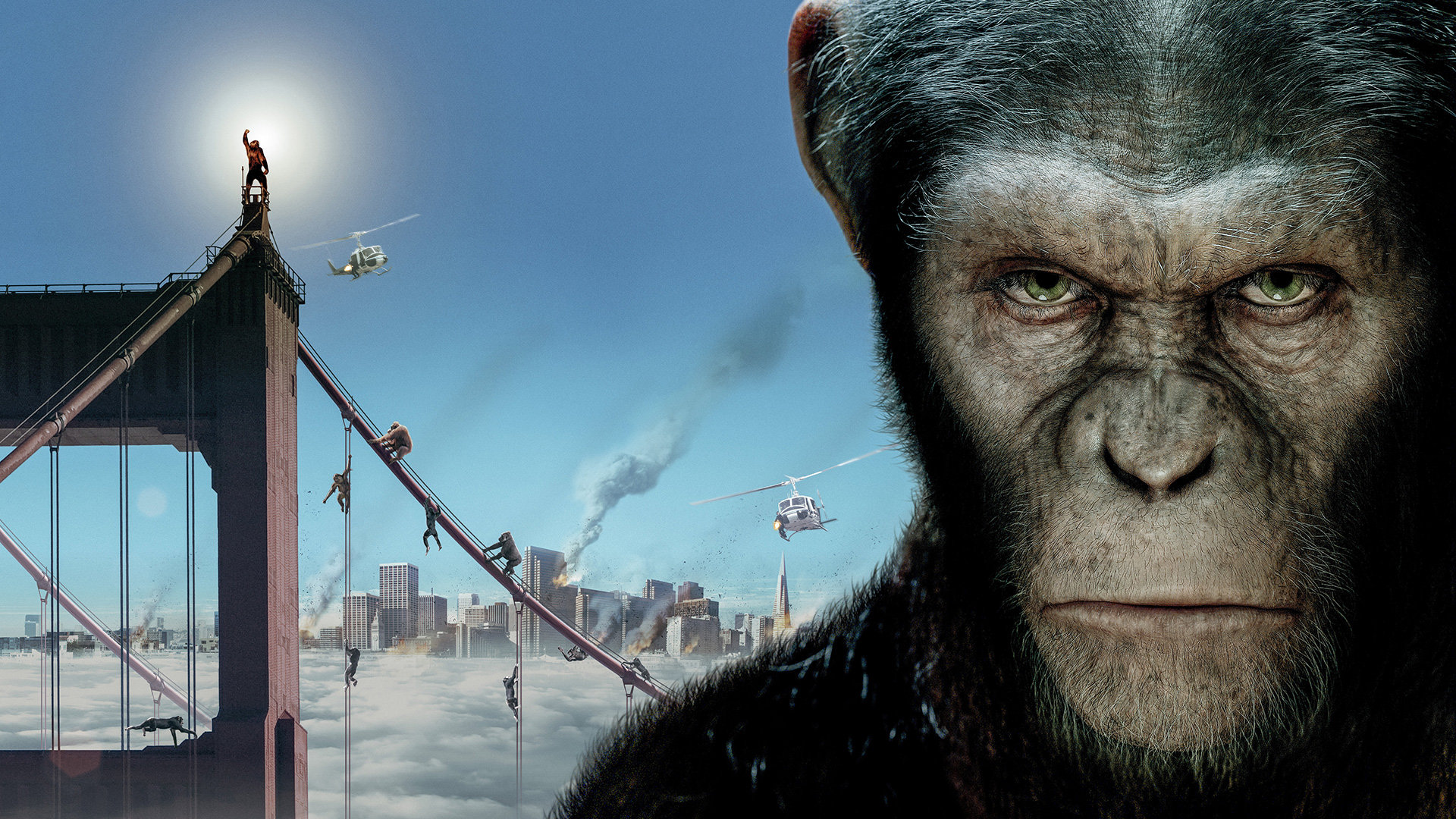 Planet Of The Apes Wallpapers