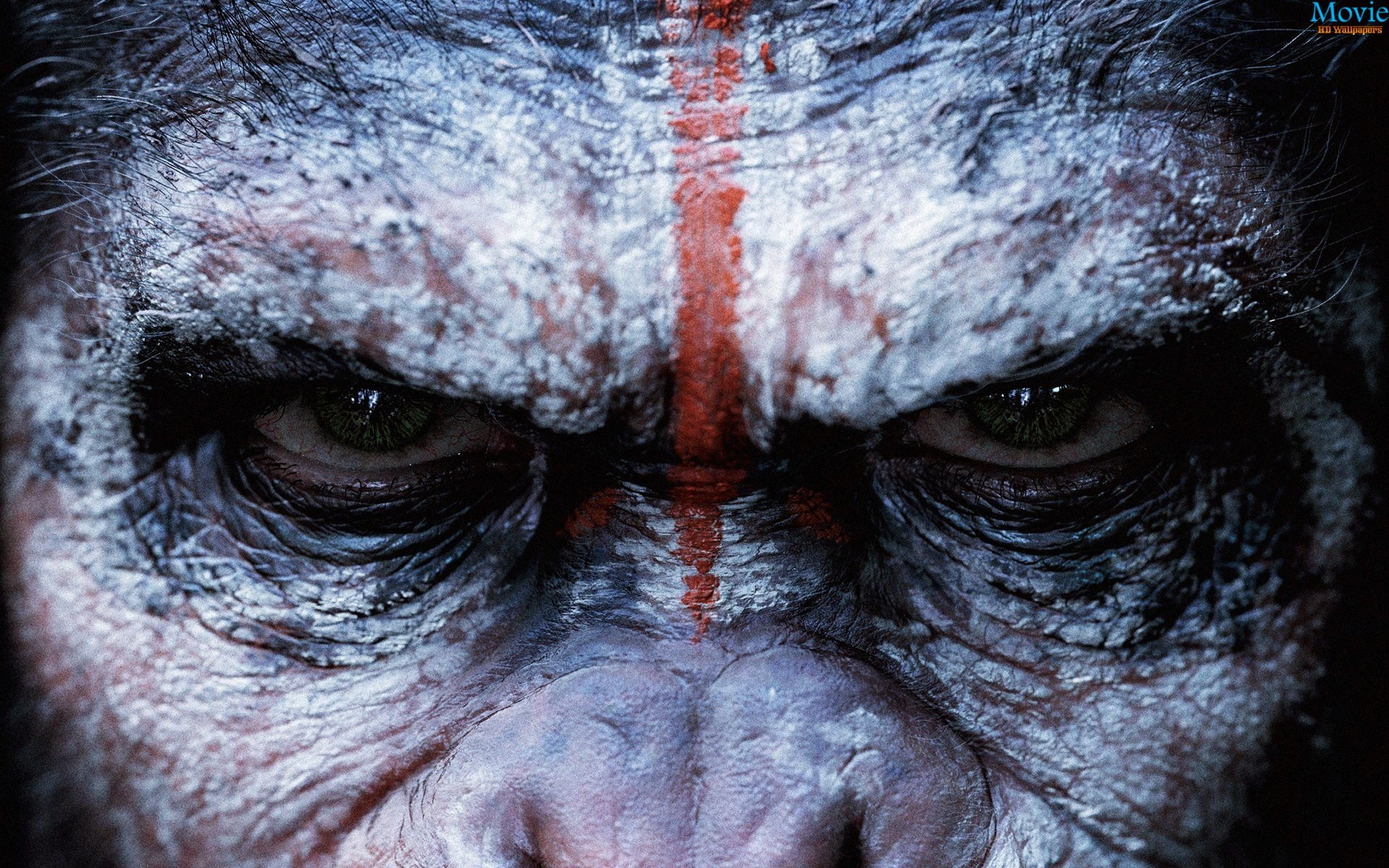 Planet Of The Apes Wallpapers