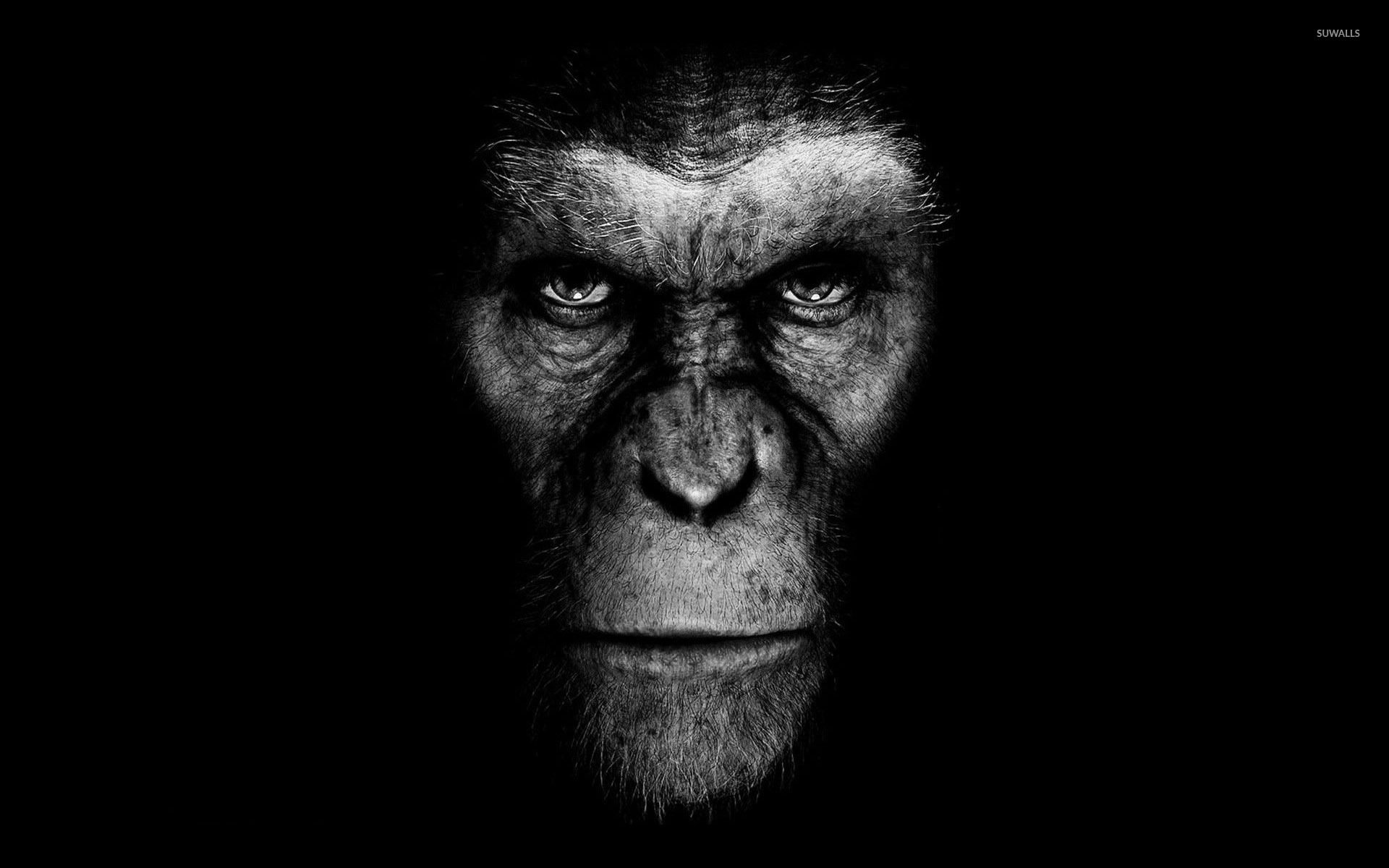 Planet Of The Apes Wallpapers