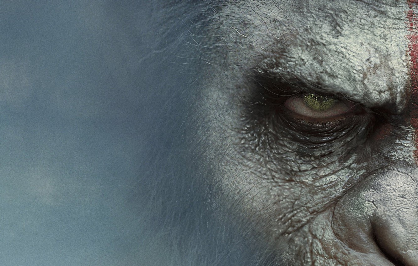 Planet Of The Apes Wallpapers