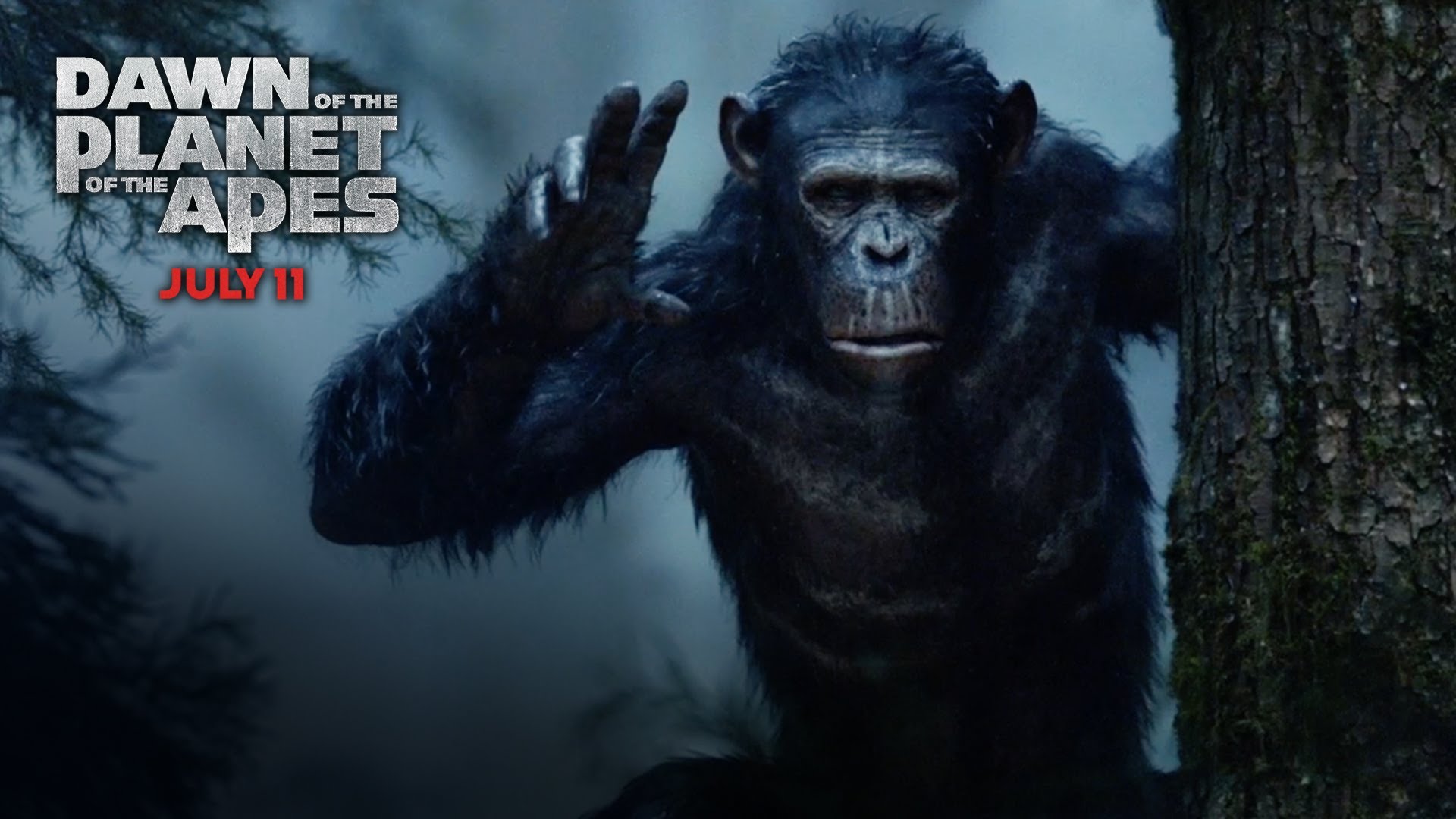 Planet Of The Apes Wallpapers