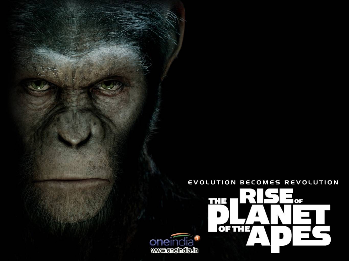 Planet Of The Apes Wallpapers