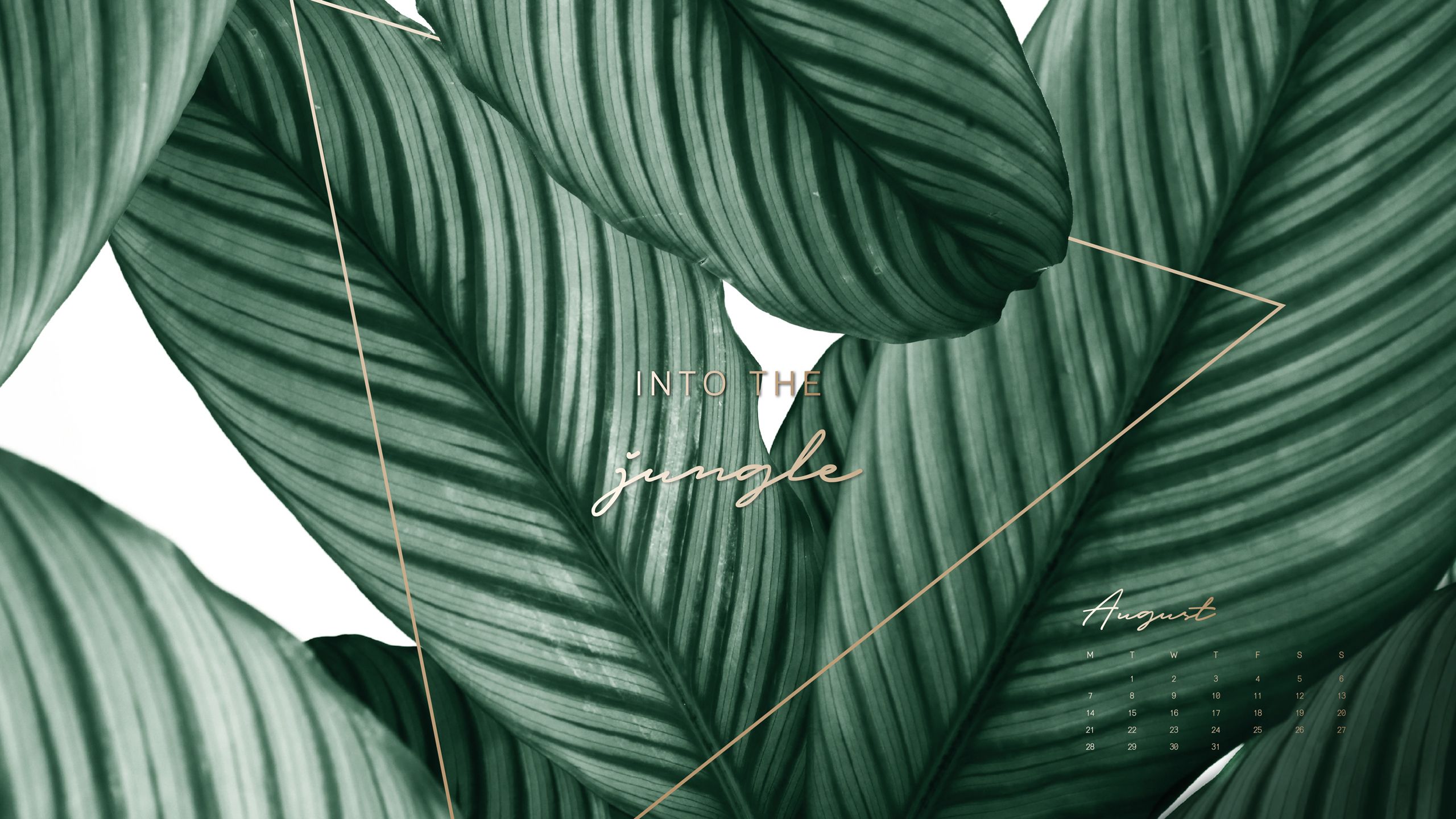 Plant Desktop Background