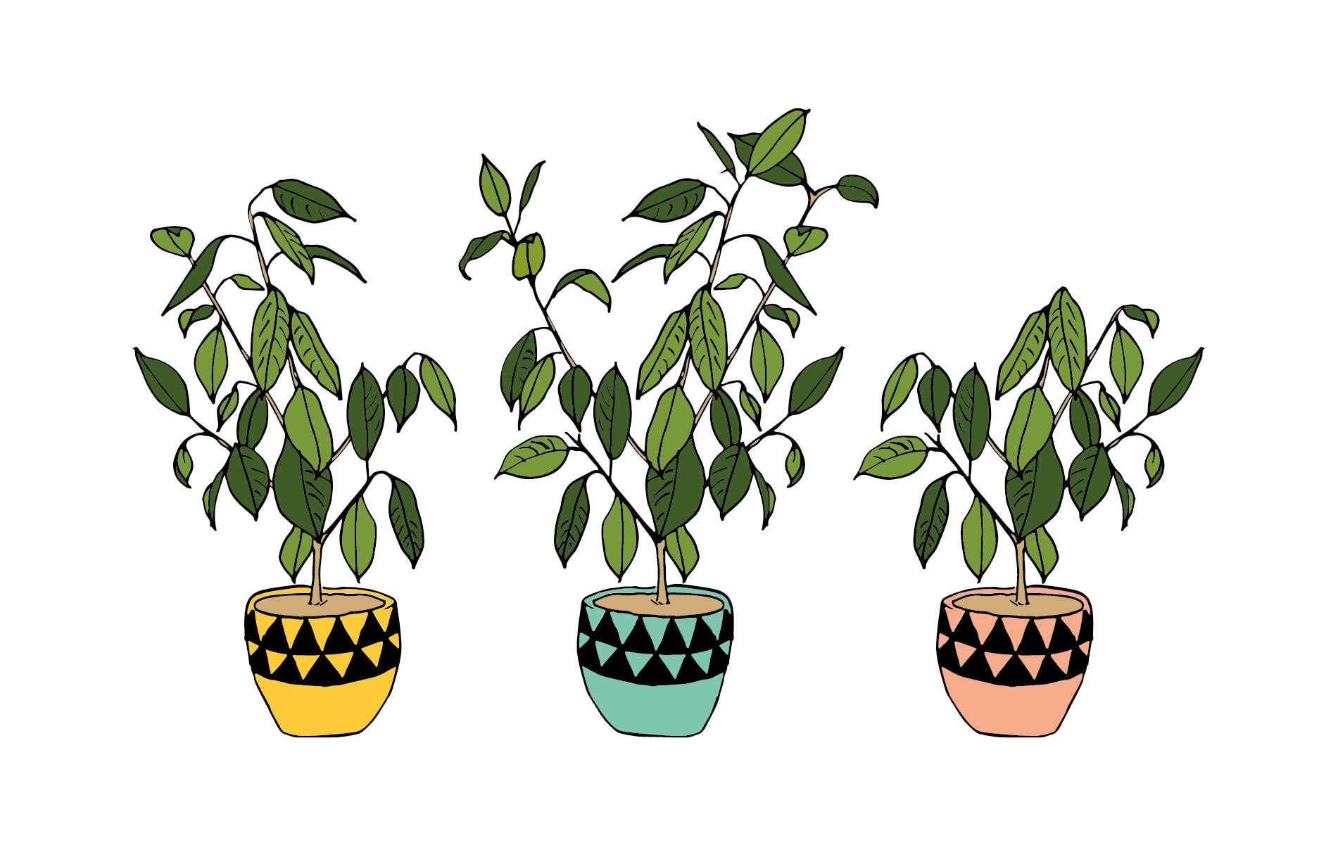 Plant Desktop Background