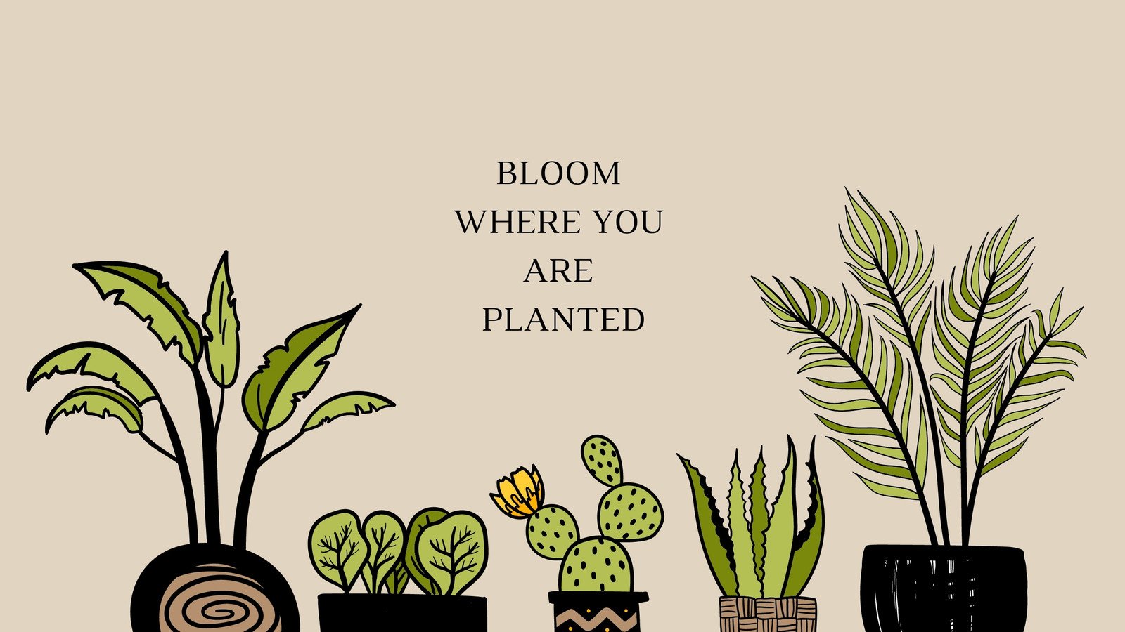 Plant Desktop Background