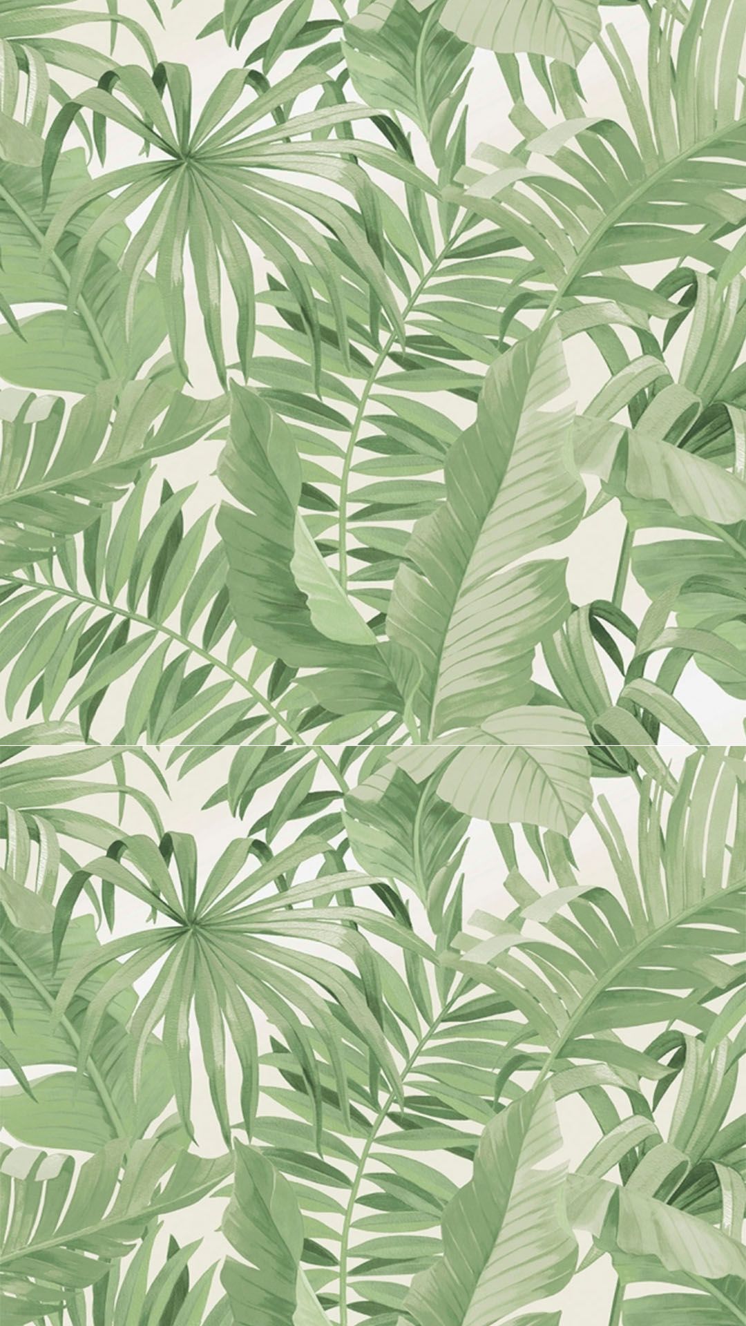 Plant Iphone Wallpapers