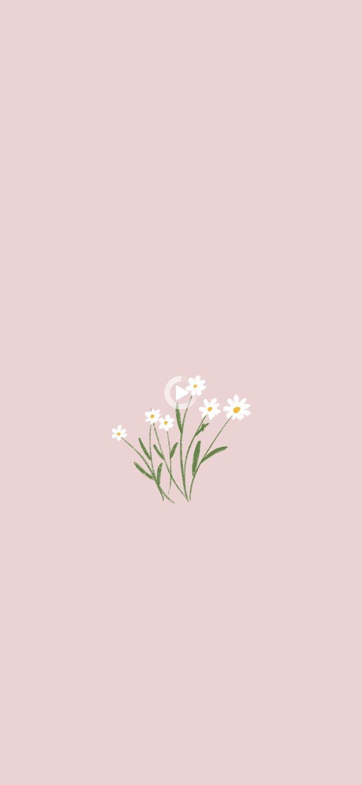 Plant Iphone Wallpapers