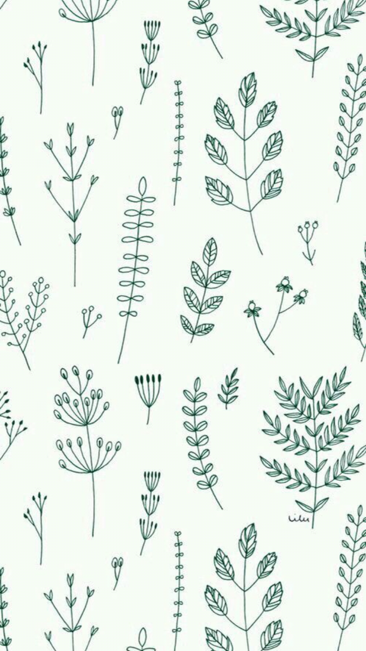 Plant Wallpapers