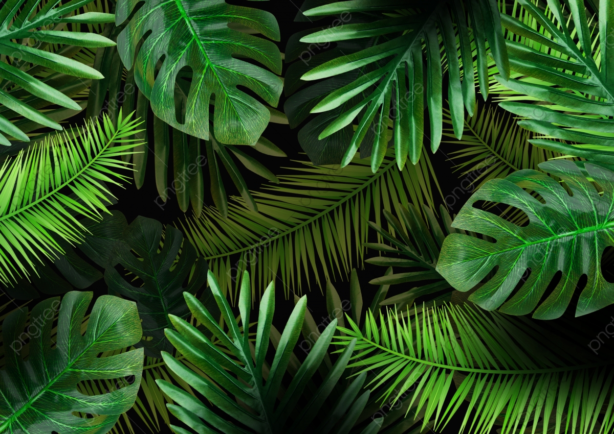 Plants Background