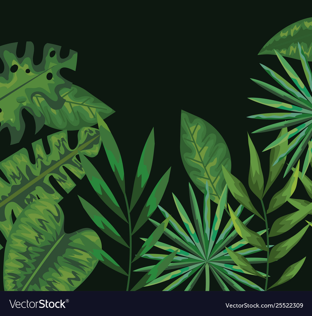 Plants Background