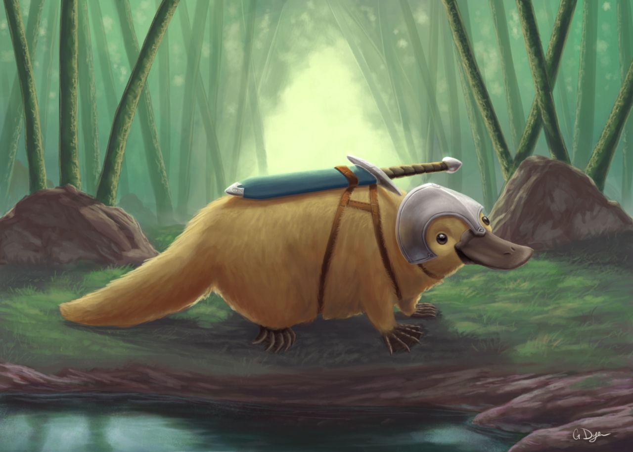 Platypus Wallpapers