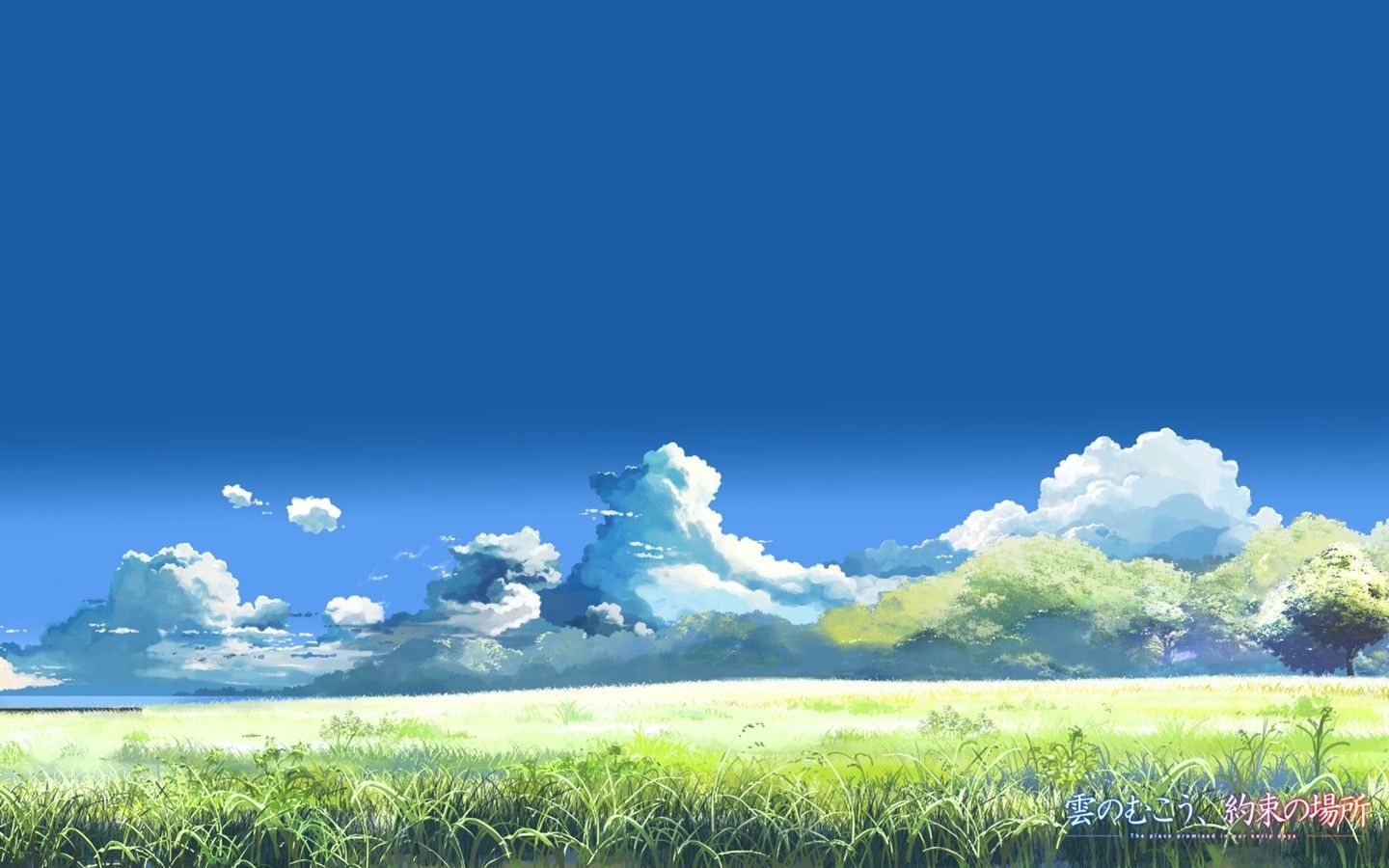 Pokemon Anime Background