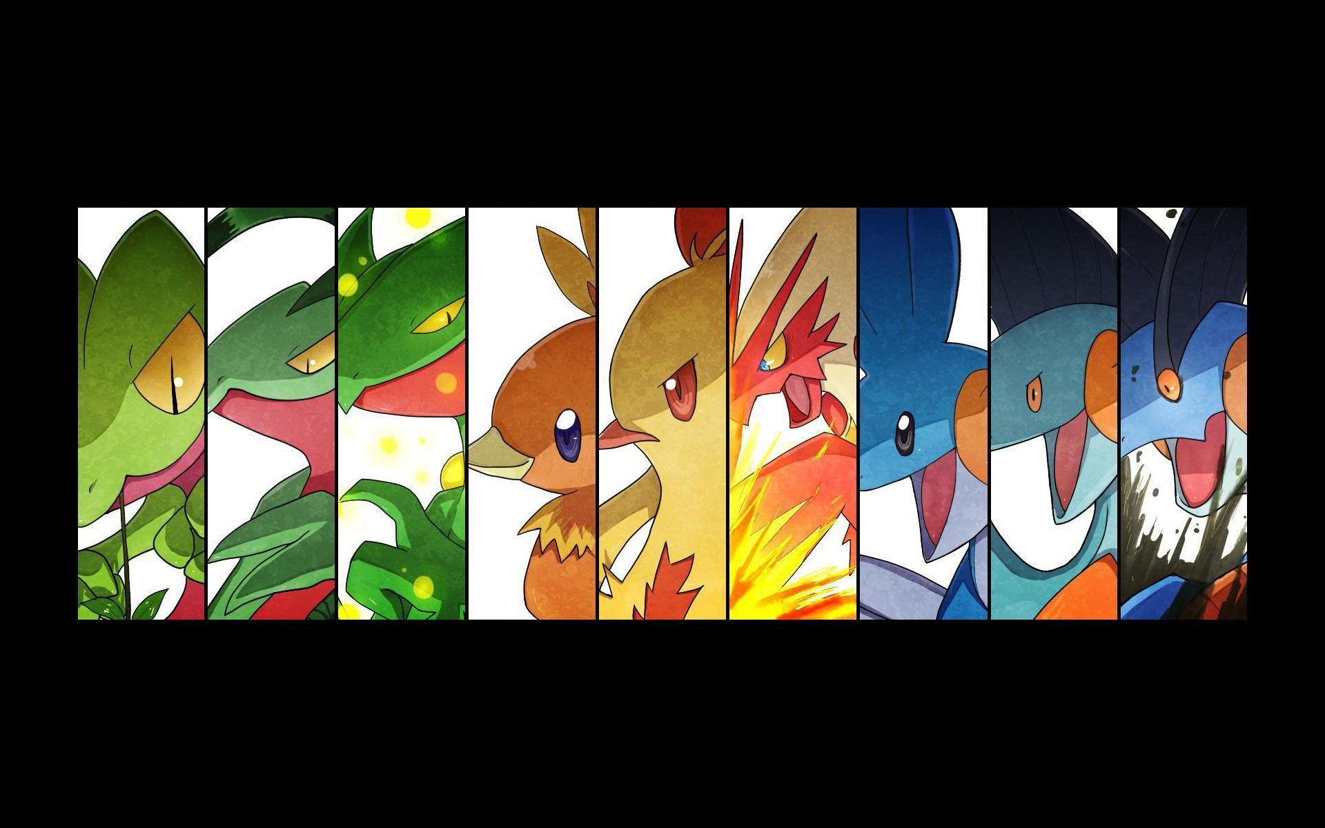 Pokemon Evolution Wallpapers