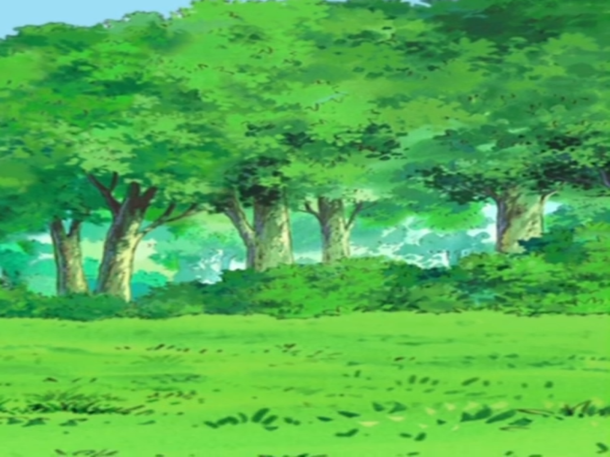 Pokemon Forest Background