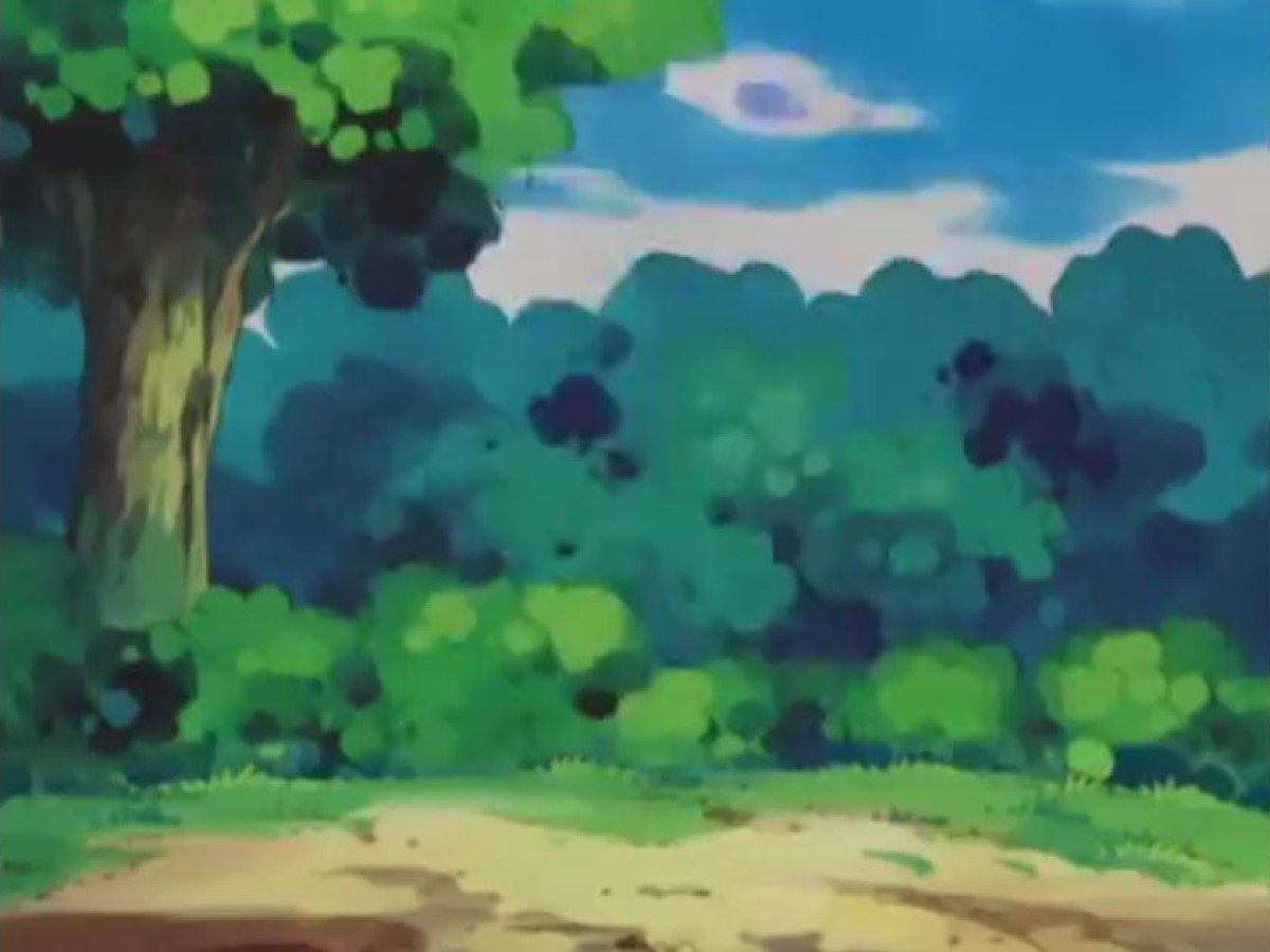 Pokemon Forest Background