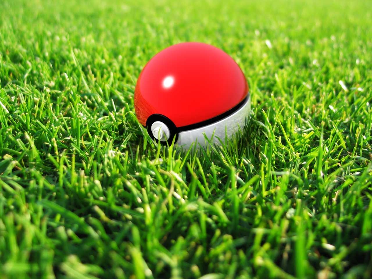 Pokemon Grass Background